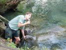 Ranger und 2 Manatees